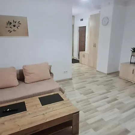 Apartament La Andrei Bistriţa